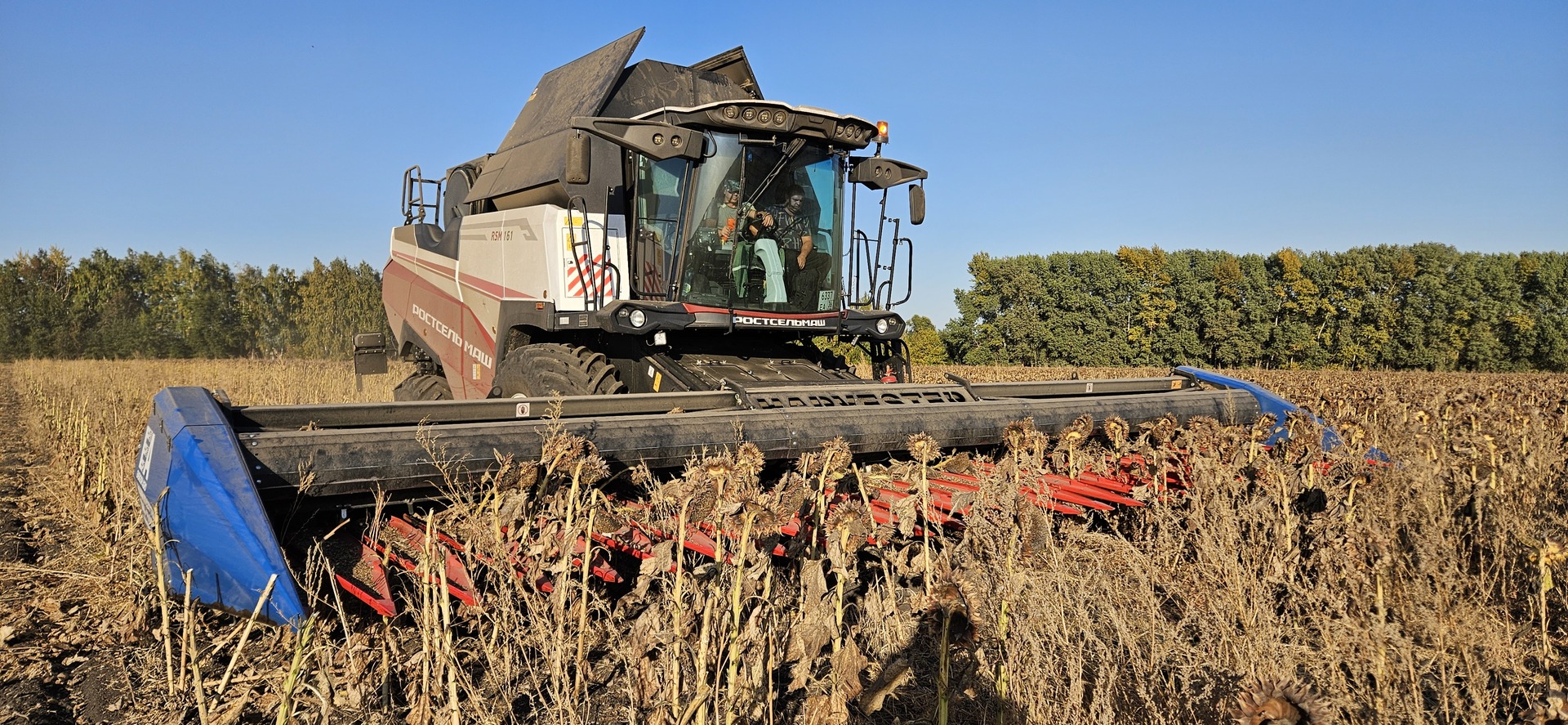 Безрядковая жатка HARVESTER SN